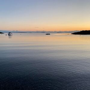 Meet your Posher, William